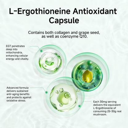 ONOTIC Ergothioneine 30mg Capsule – 90-Day EGT Supplement for Immune & Brain Health