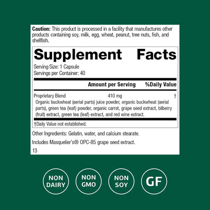 Standard Process OPC Synergy – Antioxidant & Brain Health – 150 Tablets