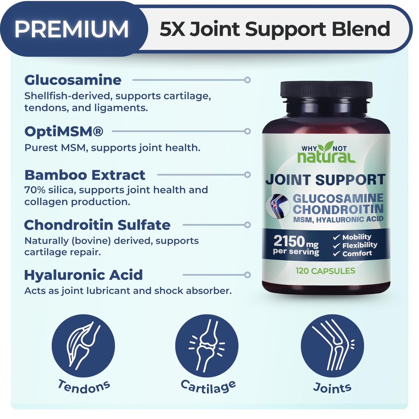 Why Not Natural Glucosamine Chondroitin, MSM, Joint Support Supplements | Knee Pain & Joint Health