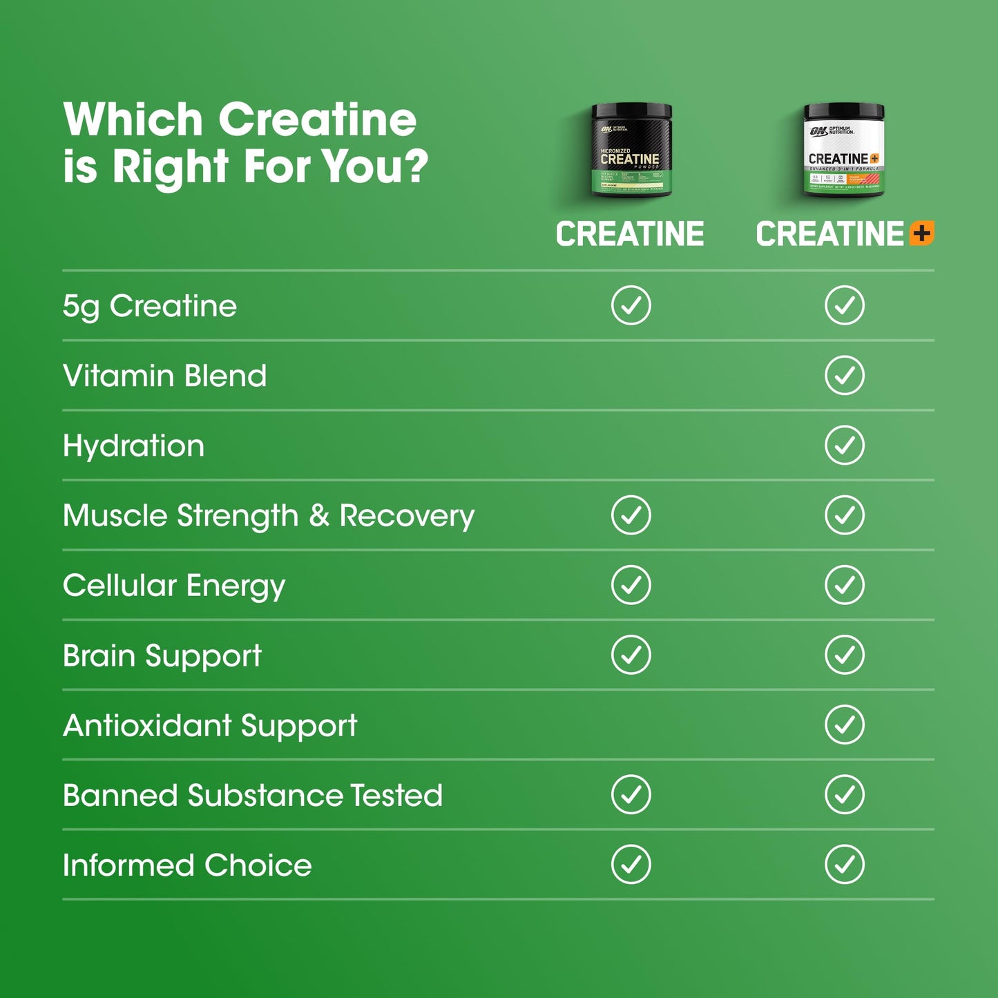 Optimum Nutrition Micronized Creatine Monohydrate Powder – Unflavored, 60 Servings, 300 g | Packaging May Vary