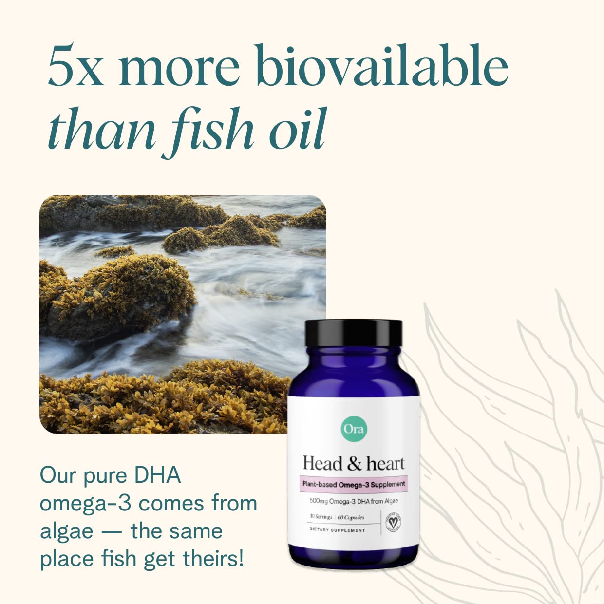 Ora Organic Vegan Omega-3 DHA 500mg – Algae-Sourced | Brain, Eye & Heart Health | 60 Capsules