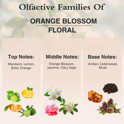 PHATOIL Orange Blossom Fragrance Oil 100ml | Glass Dropper for Diffuser, Soap & Candle Making