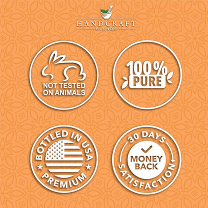 Handcraft Blends Orange Essential Oil – 4 oz | 100% Pure & Natural, Premium Grade