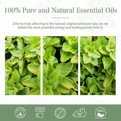 Oregano Essential Oil 30ml | PHATOIL Aromatherapy for Diffusers, DIY Soap & Candles