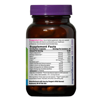Oregon's Wild Harvest Stress Guard (Mental Guard) – L-Theanine Supplement for Natural Relief, 90 Capsules