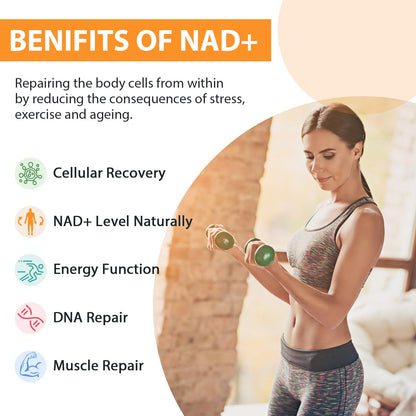 Orgabay Liposomal NAD+ Supplement 500 mg, High Absorption, Boost NAD+ with TMG 250 mg, Actual NAD Plus More Efficient Than Nicotinamide Riboside, Support Cellular Energy, Healthy Aging | 60 Softgels