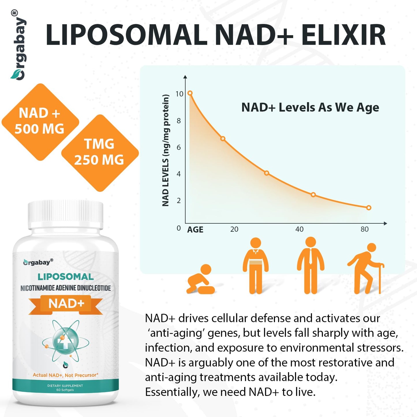 Orgabay Liposomal NAD+ Supplement 500 mg, High Absorption, Boost NAD+ with TMG 250 mg, Actual NAD Plus More Efficient Than Nicotinamide Riboside, Support Cellular Energy, Healthy Aging | 60 Softgels
