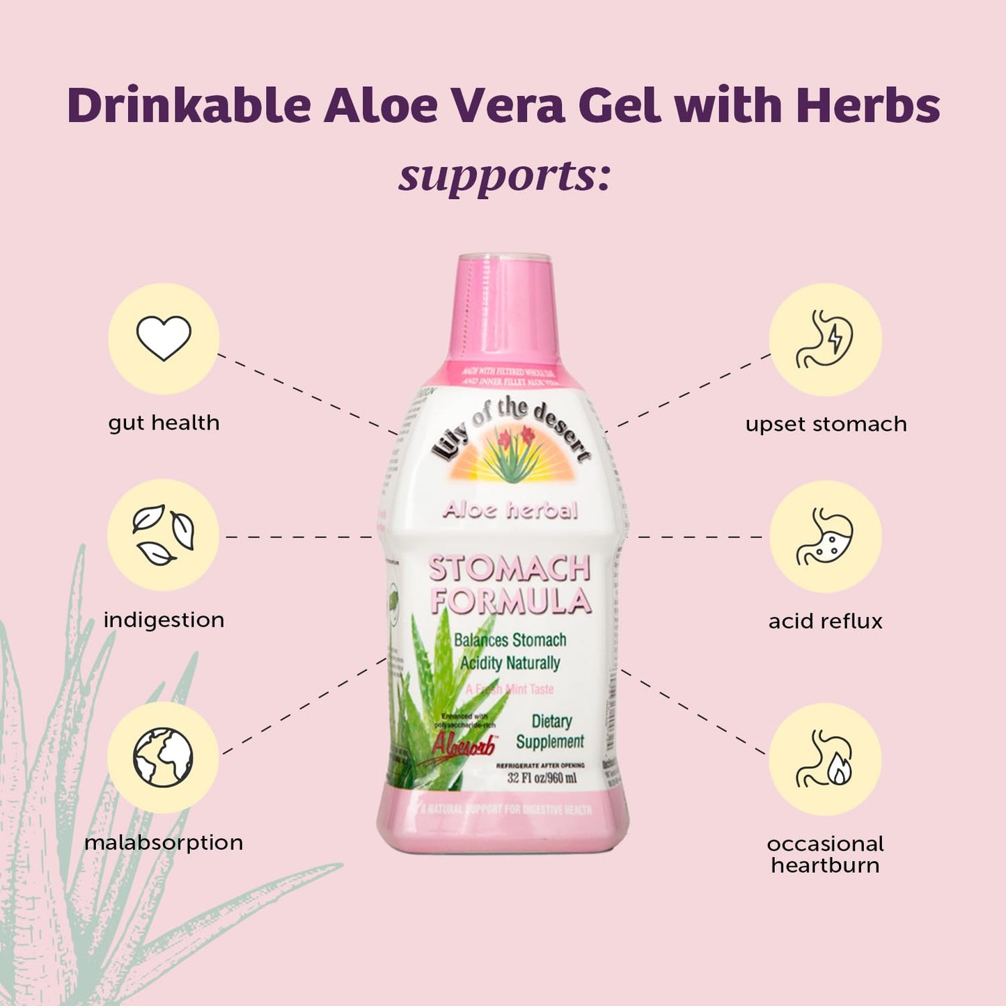 Lily Of The Desert Stomach Formula - Organic Aloe Vera Juice for Gut Health & Heartburn Relief - 32 oz