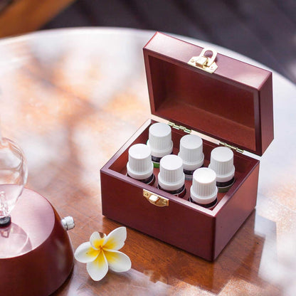 Organic Aromas Favorites Sampler – 6x10ml Therapeutic Essential Oils for Diffusers