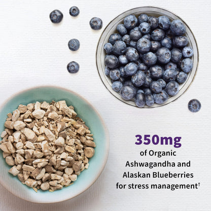 Garden of Life Mood+ Probiotic with Ashwagandha – 60 Veggie Caps, Gluten Free & Non-GMO