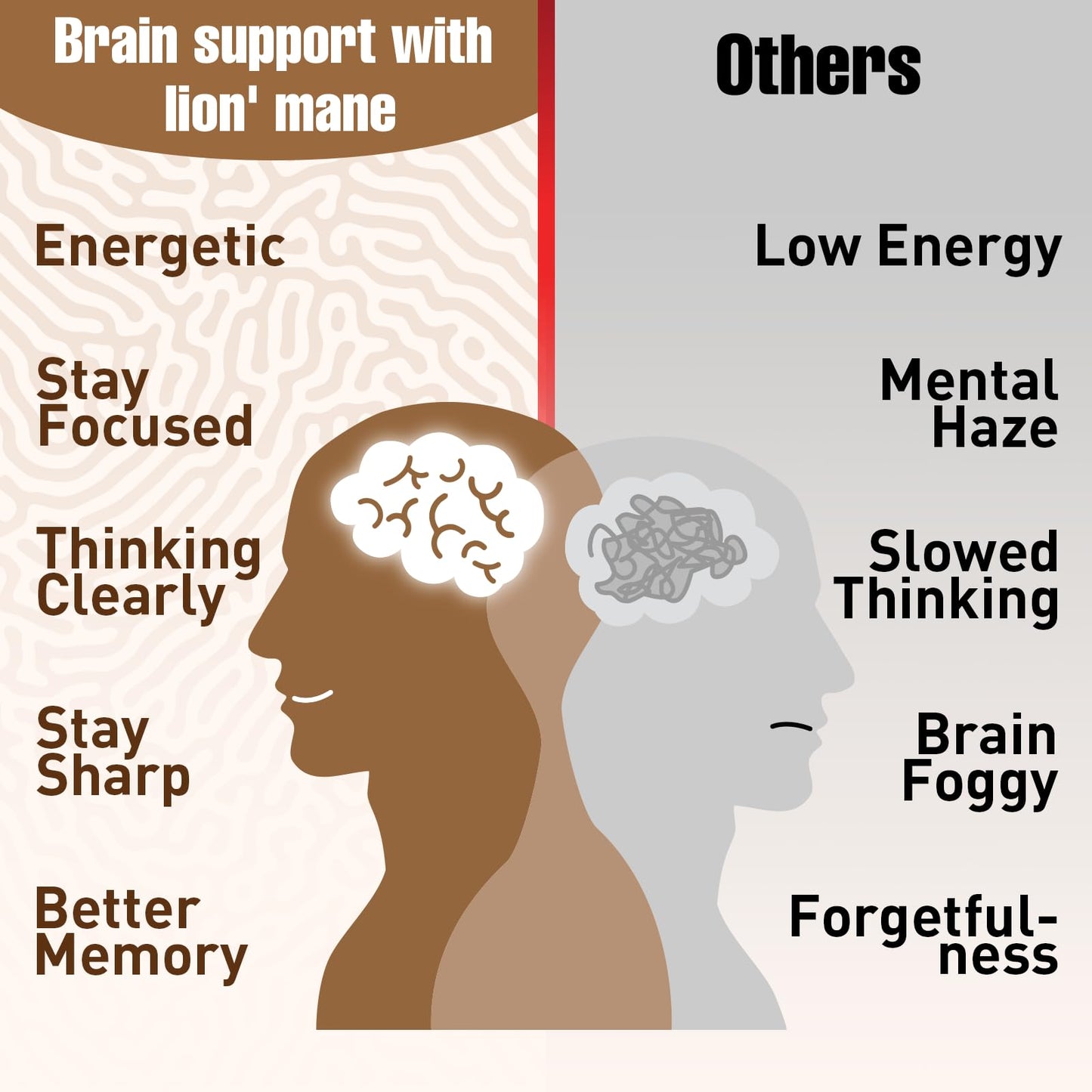 Ashwagandha & Lions Mane Capsules for Brain, Memory & Focus | 90 Capsules