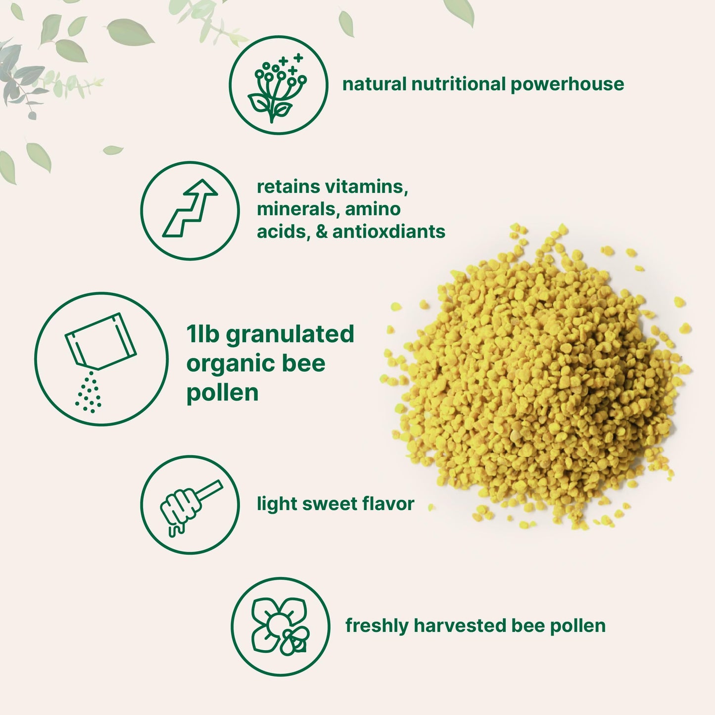 Micro Ingredients Organic Bee Pollen Granules, 1 lb – Raw & Natural Superfood | Keto, Non-GMO