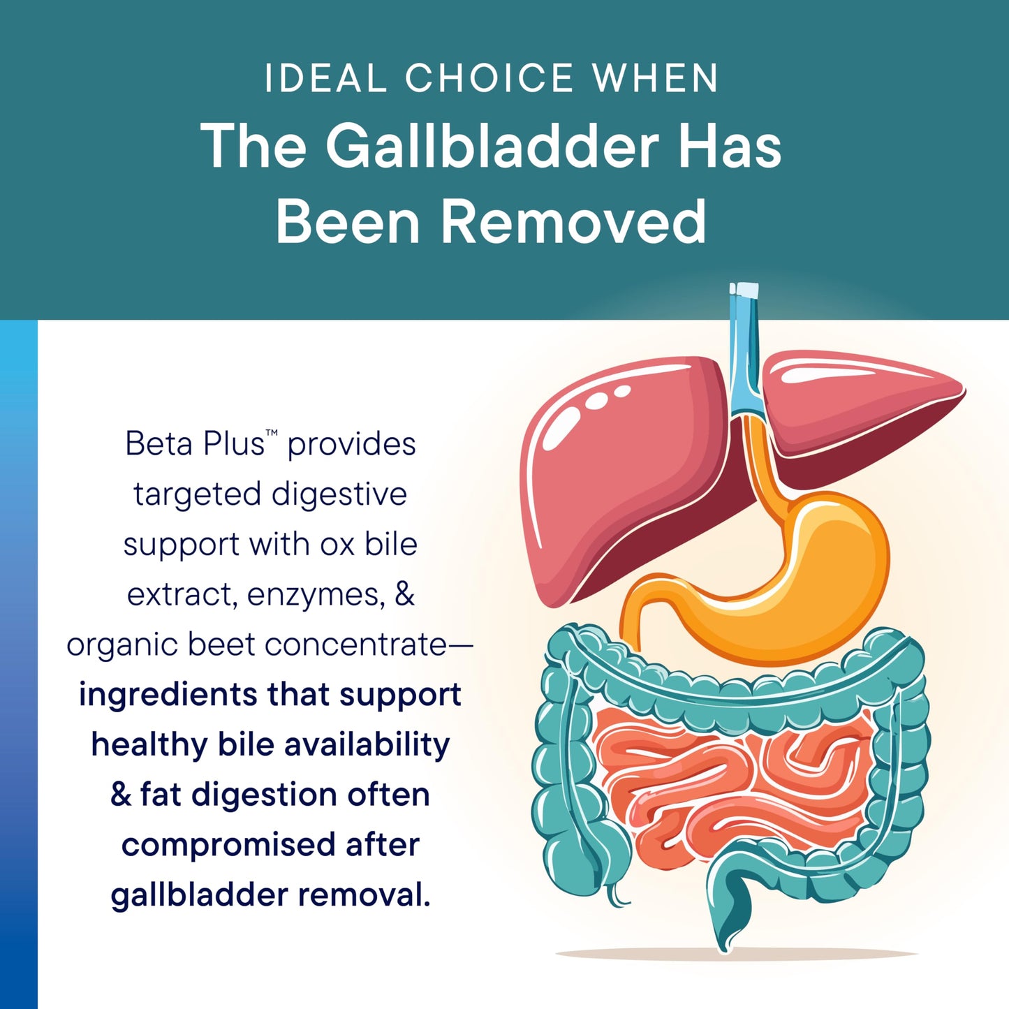 Biotics Beta-Plus Ox Bile Salts & Digestive Enzymes - 90 Tabs | Bile Production, No Gallbladder Support, Liver & Fat Digestion