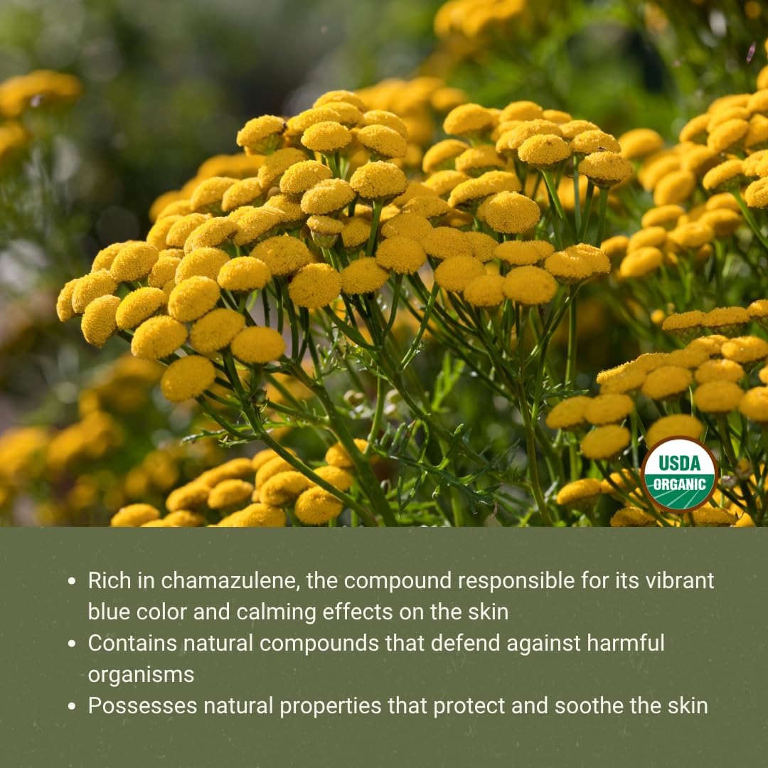 Organic Blue Tansy Essential Oil 5 mL – Malagassi Essential Oils | Face Oil, Candle & Soap Making