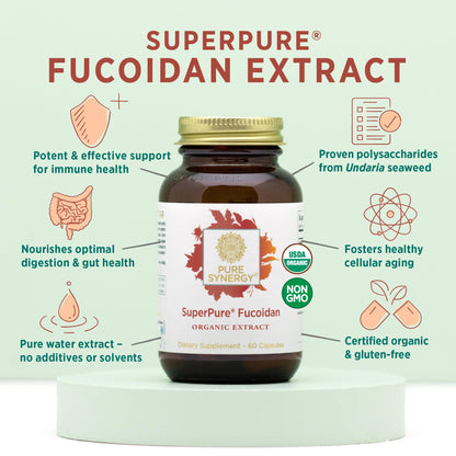 PURE SYNERGY SuperPure Fucoidan Extract | Organic Brown Seaweed | Immune Support, Digestion & Healthy Aging (60 Capsules)