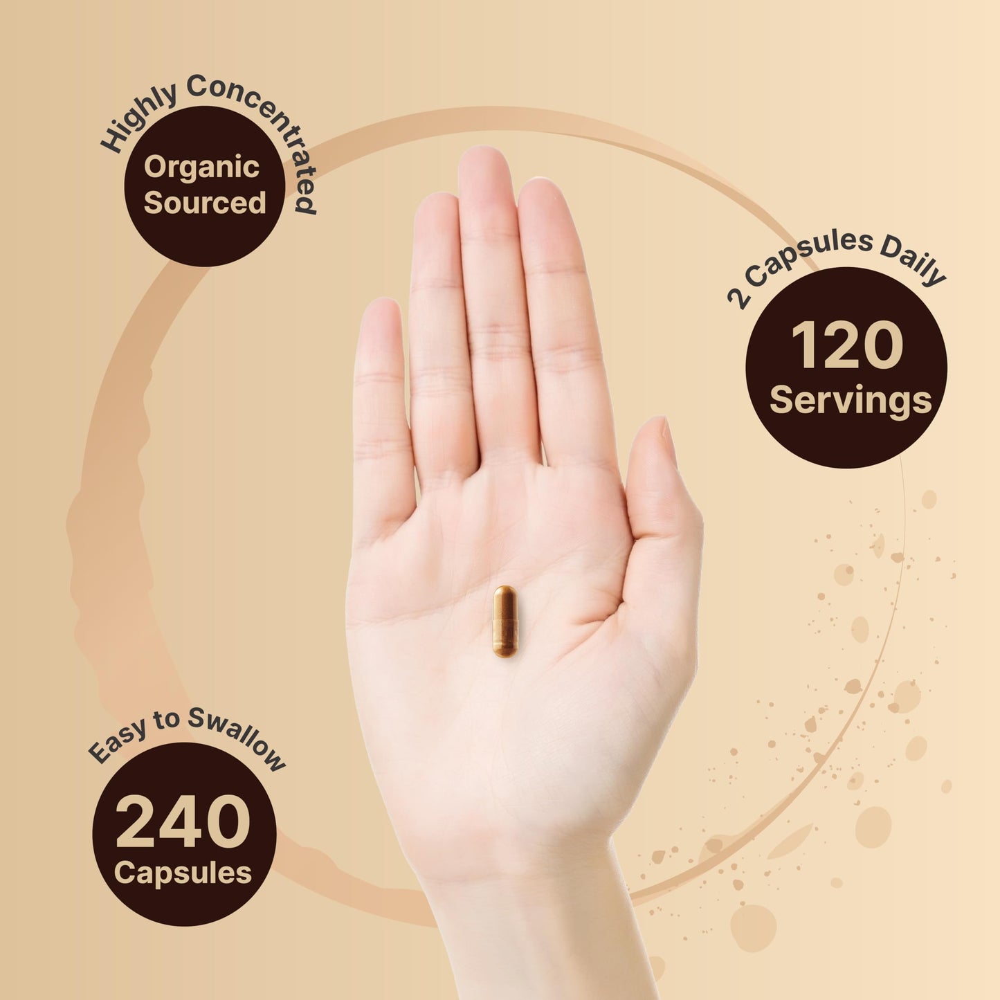 NatureBell Ceylon Cinnamon Per Serving - 240 Capsules | Organic Sri Lanka Cinnamon & Bitter Melon 2-in-1 Support | Non-GMO, Gluten-Free