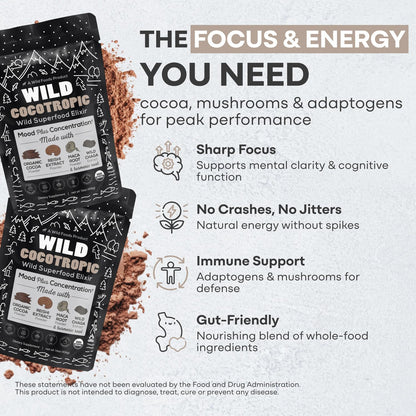 Organic Cocotropic Mushroom Hot Cocoa – Sugar Free, Reishi & Chaga, 16oz