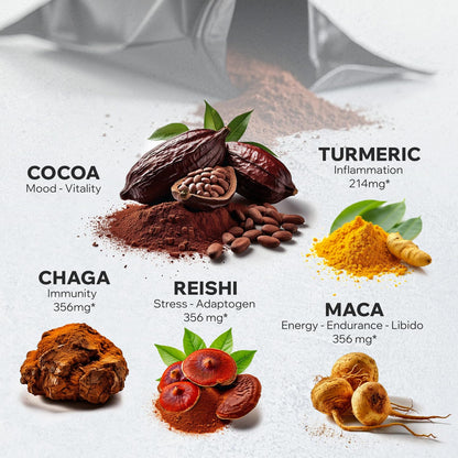 Organic Cocotropic Mushroom Hot Cocoa – Sugar Free, Reishi & Chaga, 16oz