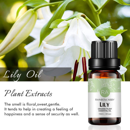 Lily Essential Oil 100% Pure – Organic Lilium Auratum (10ml) | Rainbow Abby