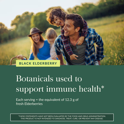 Gaia Herbs Black Elderberry Gummies - Extra Strength Immune Support (120 Gummies)