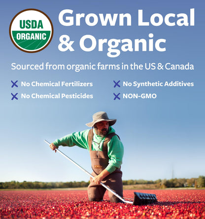 USDA Organic Cranberry Powder - 50:1 Concentrate for Urinary Tract Health (Vegan, Non-GMO, Filler Free) - 200 Servings