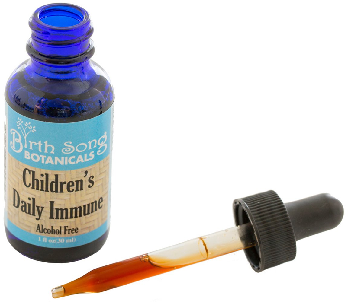 Birth Song Botanicals Children's Immune Tincture - Organic 1oz