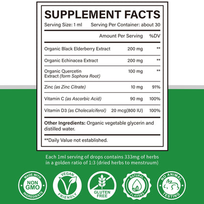 Zinc Quercetin Vitamin C D3 Liquid Immune Support with Organic Echinacea & Elderberry – 1 Fl Oz