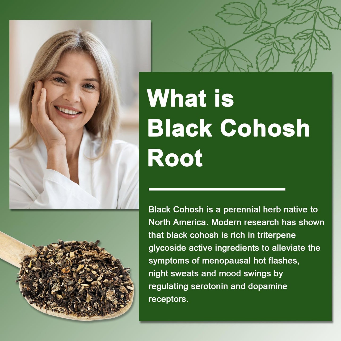 Black Cohosh Gummies for Menopause - Natural Relief, Mood & Hormone Balance - Vegan-Free 60 Gummies