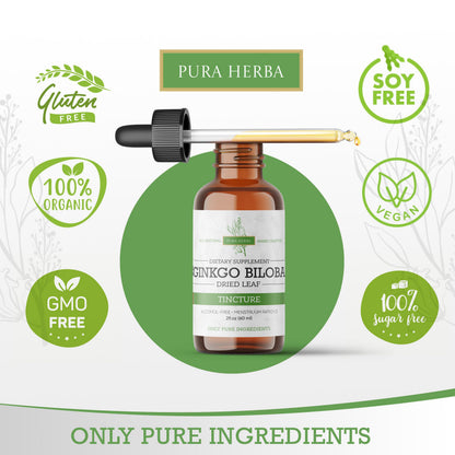 Ginkgo Biloba Liquid 2 Fl Oz – Brain & Memory Support | Pura Herba