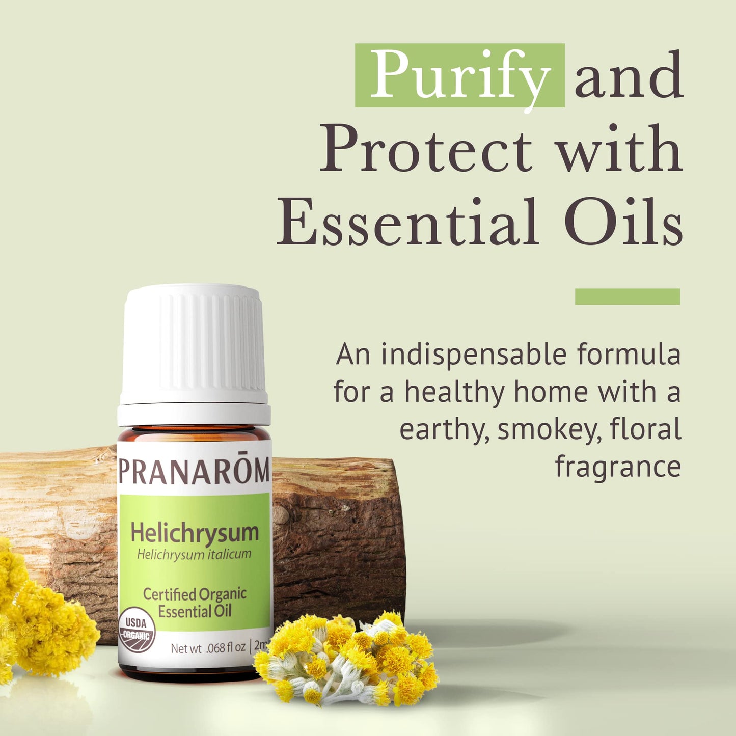 Pranarom Helichrysum Essential Oil 2ml – USDA Organic, Pure Therapeutic Grade