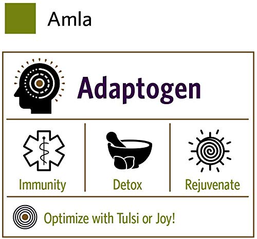 Organic India Amla Powder - Amalaki Indian Gooseberry for Immune Support, Vitamin C, Vegan Ayurvedic Superfood (1 lb)