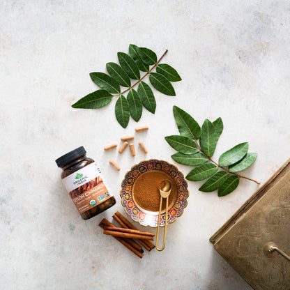 Organic India Ceylon Cinnamon Supplement | Cinnamon Capsules