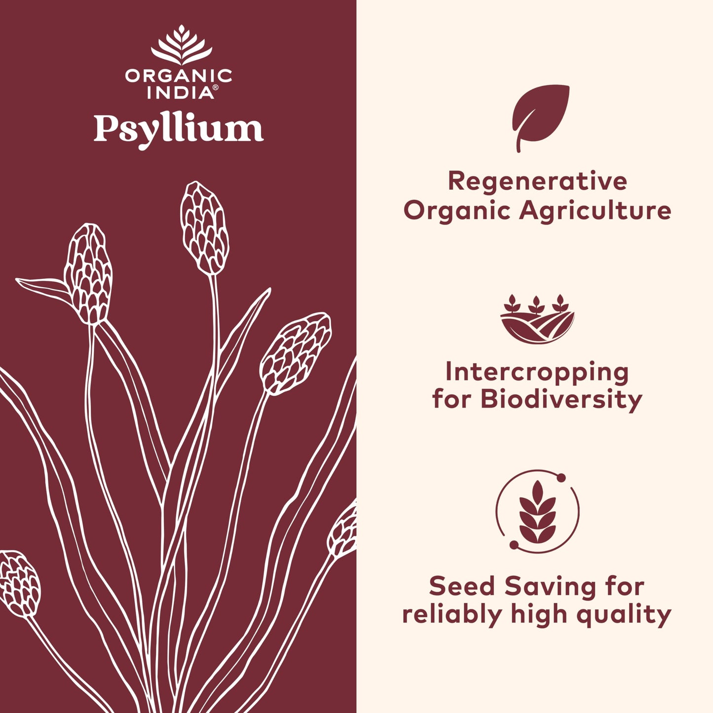 ORGANIC INDIA Psyllium Husk Capsules - Fiber Supplement | Vegan, Gluten-Free, USDA Organic