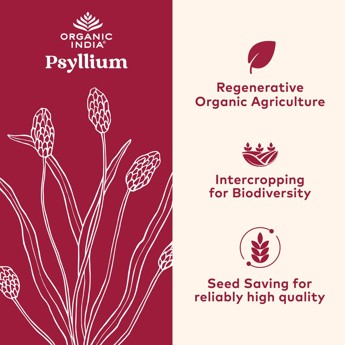 ORGANIC INDIA Psyllium Whole Husk Fiber – Digestion Support, Vegan, Gluten-Free, USDA Organic (12 oz)