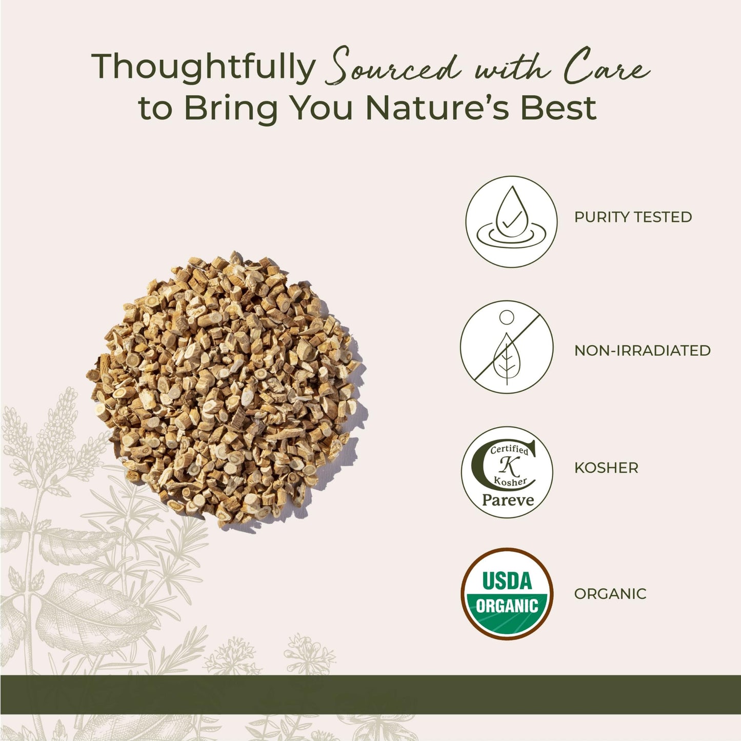 Starwest Botanicals Organic Astragalus Root - Dried Herbal Tea for Immune Support | Kosher, Non-GMO, Bulk 1 lb