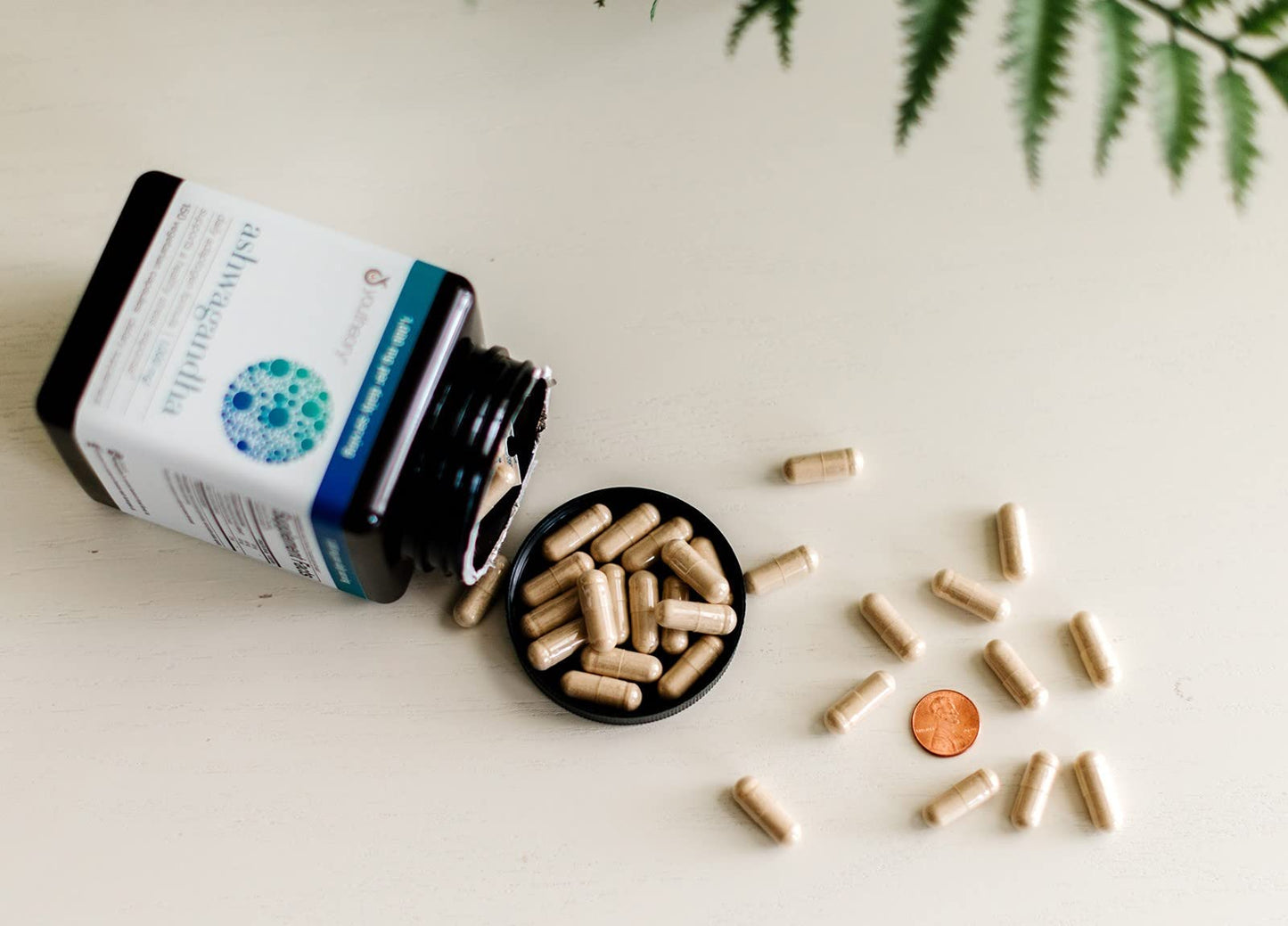 Organic KSM-66 Ashwagandha – 150 Vegetarian Capsules | 1000mg per Daily Serving | Stress Support