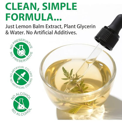 Lemon Balm Extract - Alcohol-Free Tincture (590mg per dose) - Natural Organic Lemon Balm Liquid for Relaxation | 2.02 Fl Oz