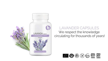 Organic Lavender Capsules - Relaxation & Calm | 90 Vegan Capsules | Non-GMO & Gluten-Free