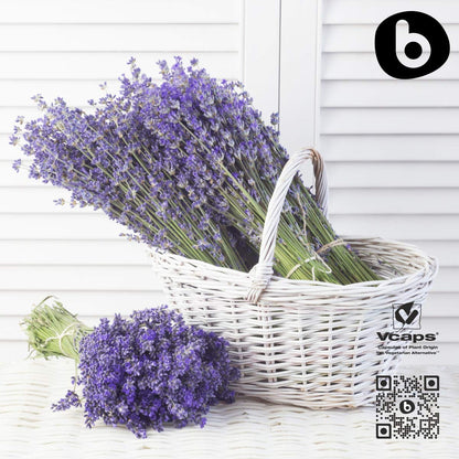 Organic Lavender Capsules - Relaxation & Calm | 90 Vegan Capsules | Non-GMO & Gluten-Free