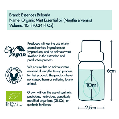 Organic Mint Essential Oil 1/3 Oz (10ml) Mentha arvensis – 100% Pure & Undiluted Aromatherapy