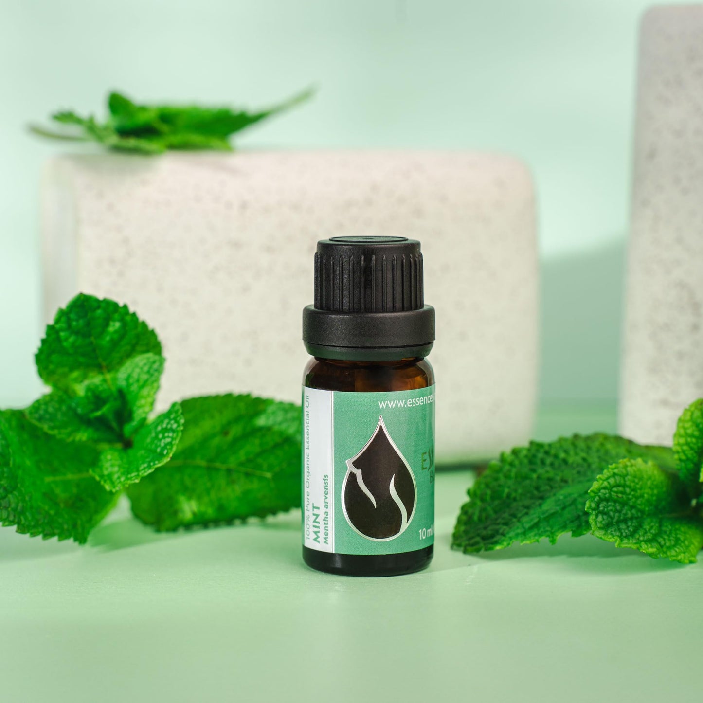 Organic Mint Essential Oil 1/3 Oz (10ml) Mentha arvensis – 100% Pure & Undiluted Aromatherapy
