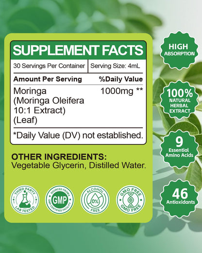 Organic Moringa Liquid Drops – High Absorption (2 fl oz) | Non-GMO, Gluten Free, Immune & Metabolism Support
