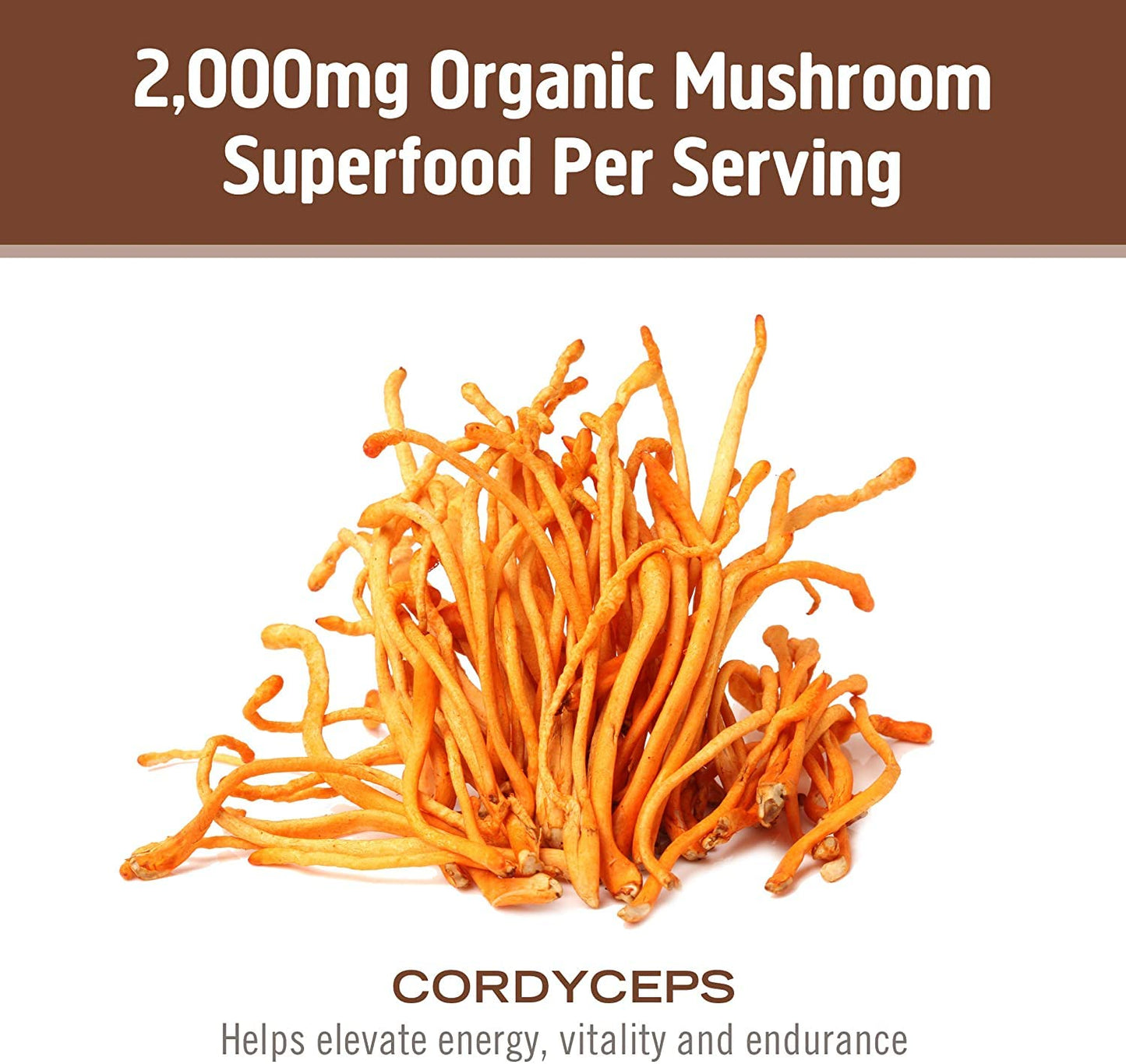 OM Mushroom Superfood Cordyceps Capsules – Organic Energy & Endurance (90 Count)