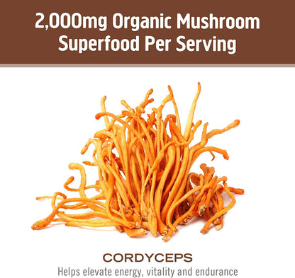 OM Mushroom Superfood Cordyceps Capsules – Organic Energy & Endurance (90 Count)