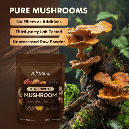 10-in-1 Organic Mushroom Powder – Lion's Mane & More (60g)