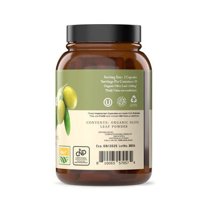 Complete Natural Products Organic Olive Leaf Capsules - 550mg, 100 Count, 1100mg per Serving (Pack of 2)