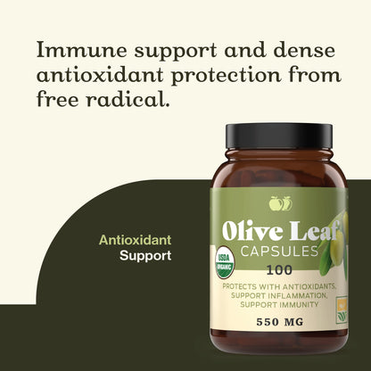 Complete Natural Products Organic Olive Leaf Capsules - 550mg, 100 Count, 1100mg per Serving (Pack of 2)