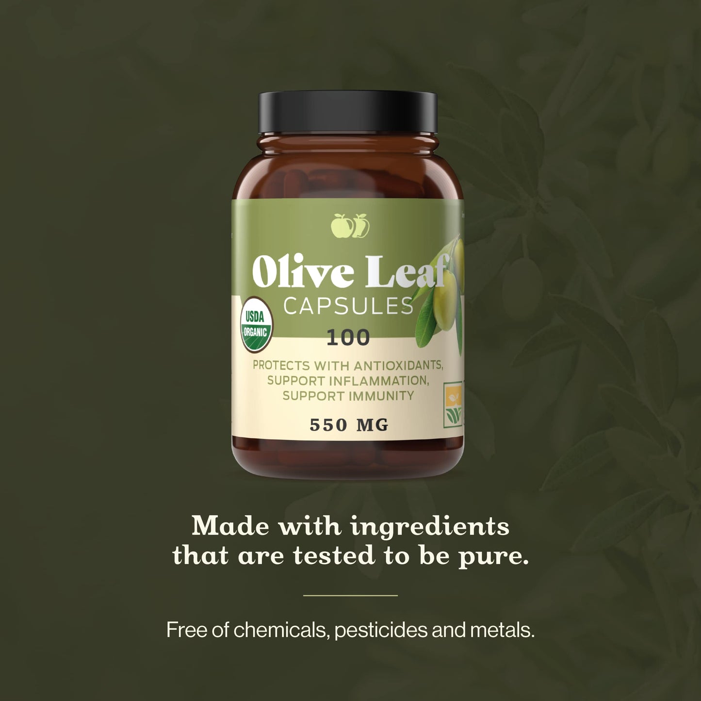 Complete Natural Products Organic Olive Leaf Capsules - 550mg, 100 Count, 1100mg per Serving (Pack of 2)