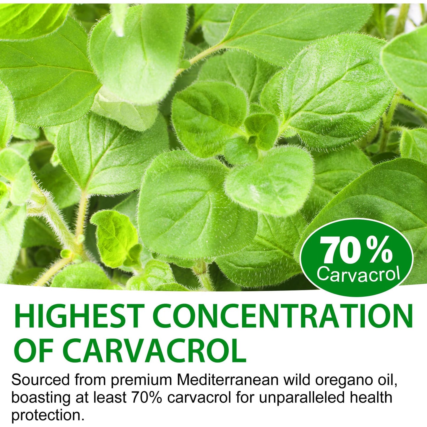 Organic Oregano Oil Liquid Drops | Natural Herbal Supplement for Immune, Digestive Support & Energy | Non-GMO, Gluten Free | 2 FL OZ