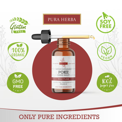 Pura Herba Organic Poke Root Tincture | Immune & Lymphatic Support | 2 oz | Made in USA
